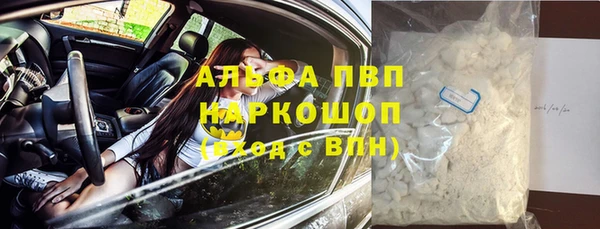 прущие грибы Покачи