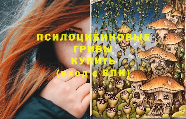 ECSTASY Тихвин