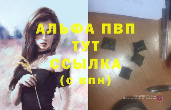 стаф Покров