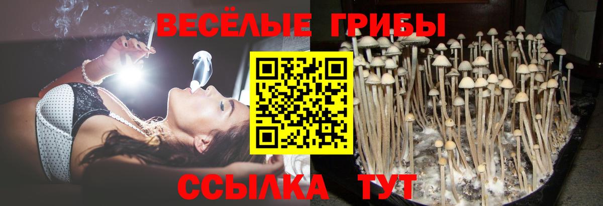 Псилоцибиновые грибы Волоколамск