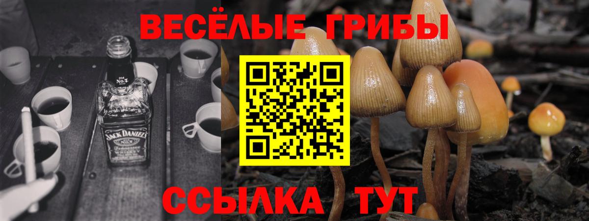 Галлюциногенные грибы GOLDEN TEACHER Волоколамск